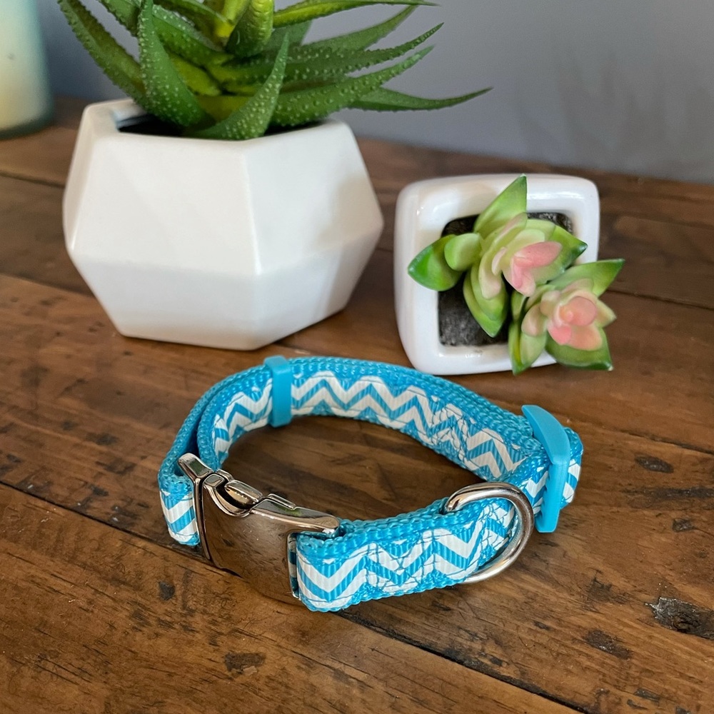 XS Dog Collar